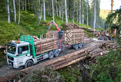 LKW für Holztransporte