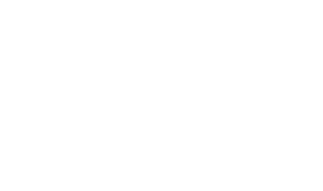 WEISCHE Logo