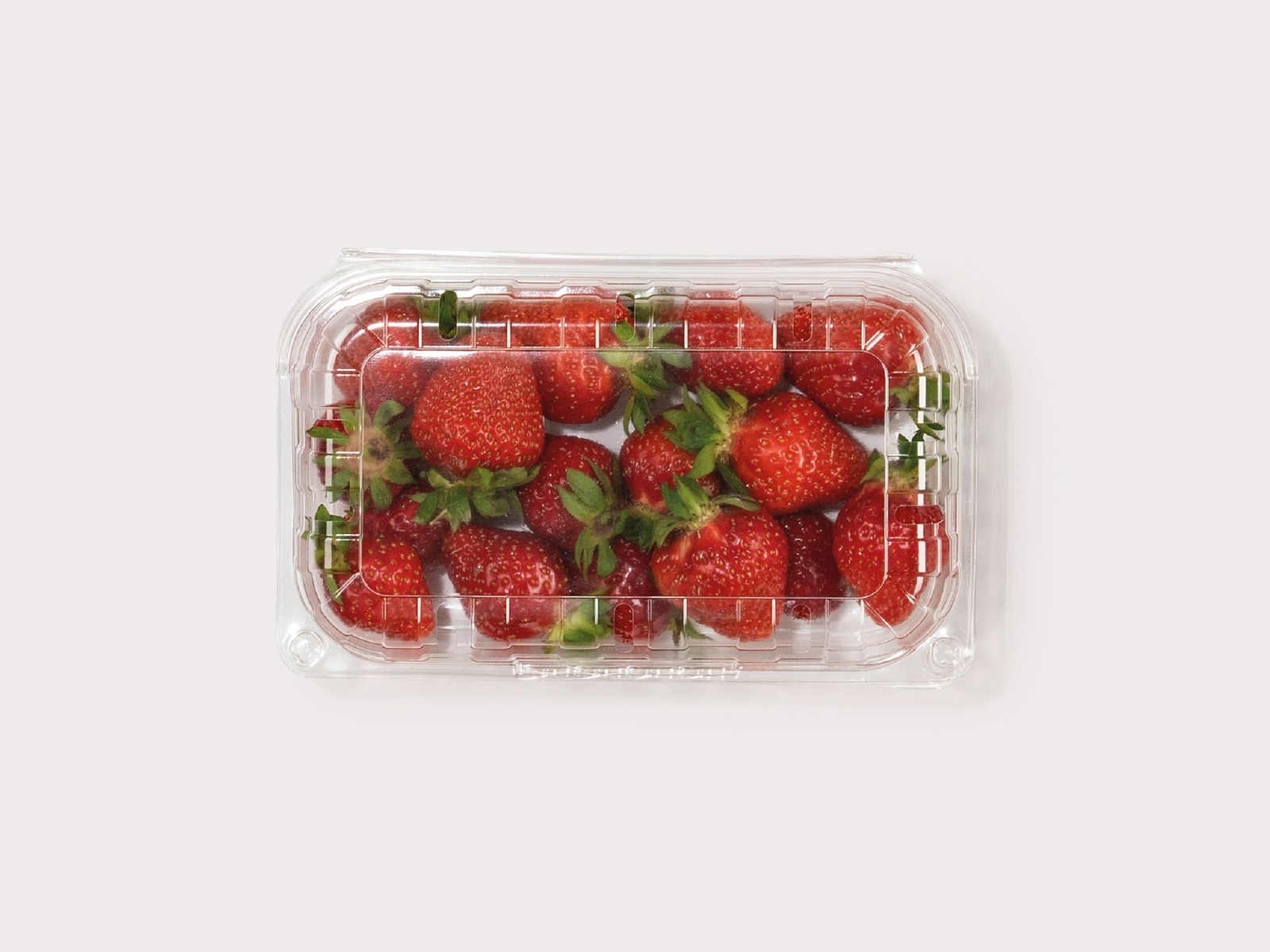 Polymer-Tray mit Faltscharnier
