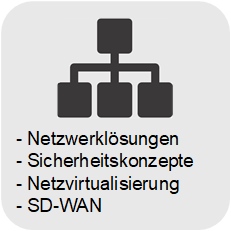 Netzwerkanalyse Health-Check