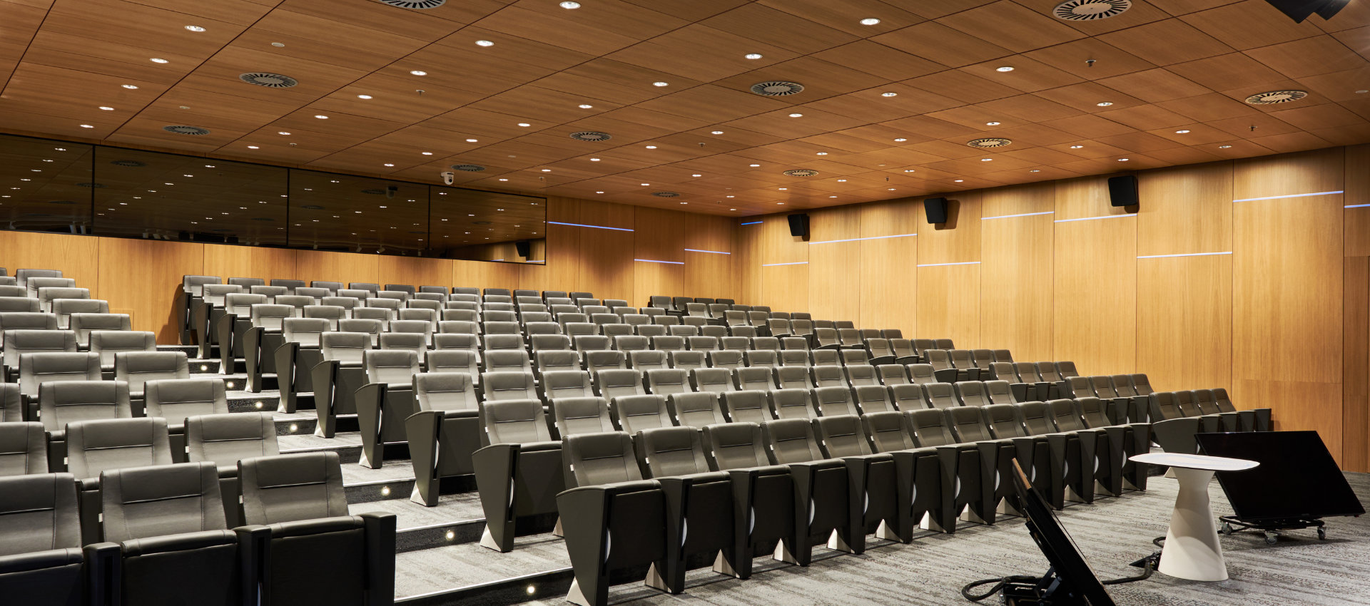 Mikroperforierte Auditoriums-Akustikfläche