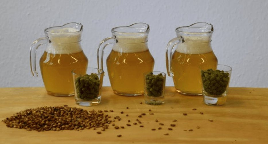 Hop comparison for flavor additives (blog series Brewing Deconstructed)