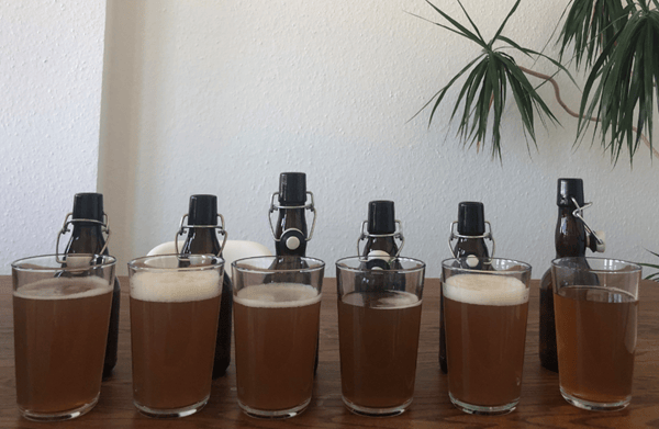 Sugar syrup additions to the wort (blog analysis)