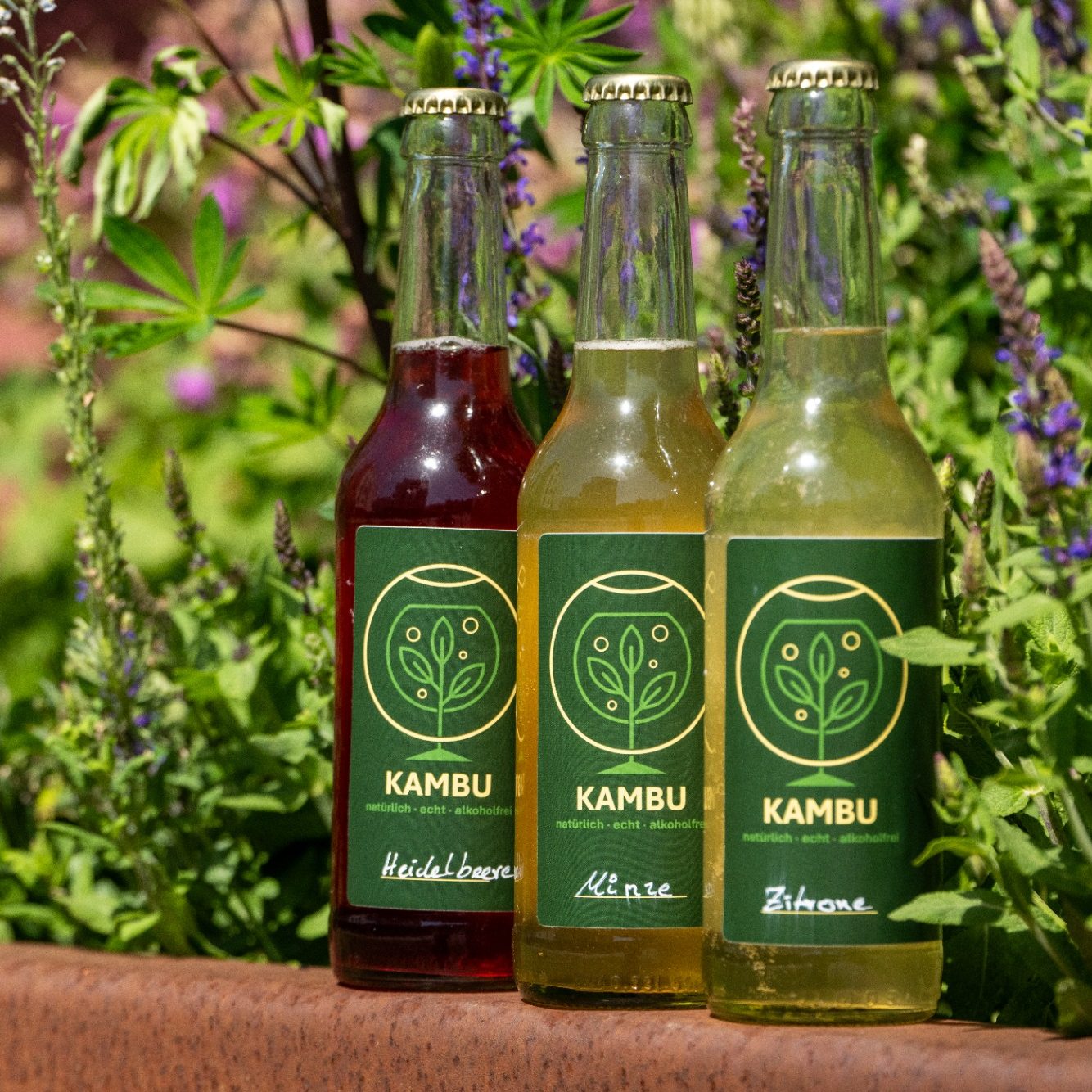 Kambu – fermentierte Bio-Getränke aus Hamburg