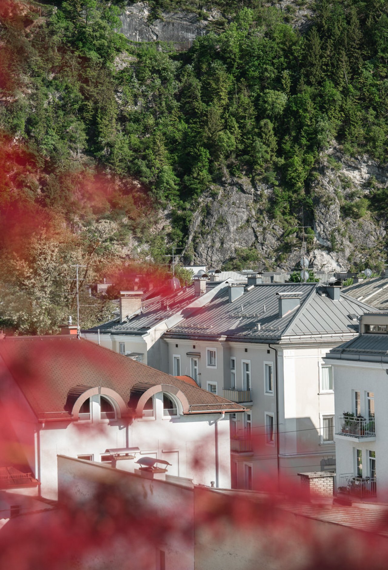 Standort Faistenau