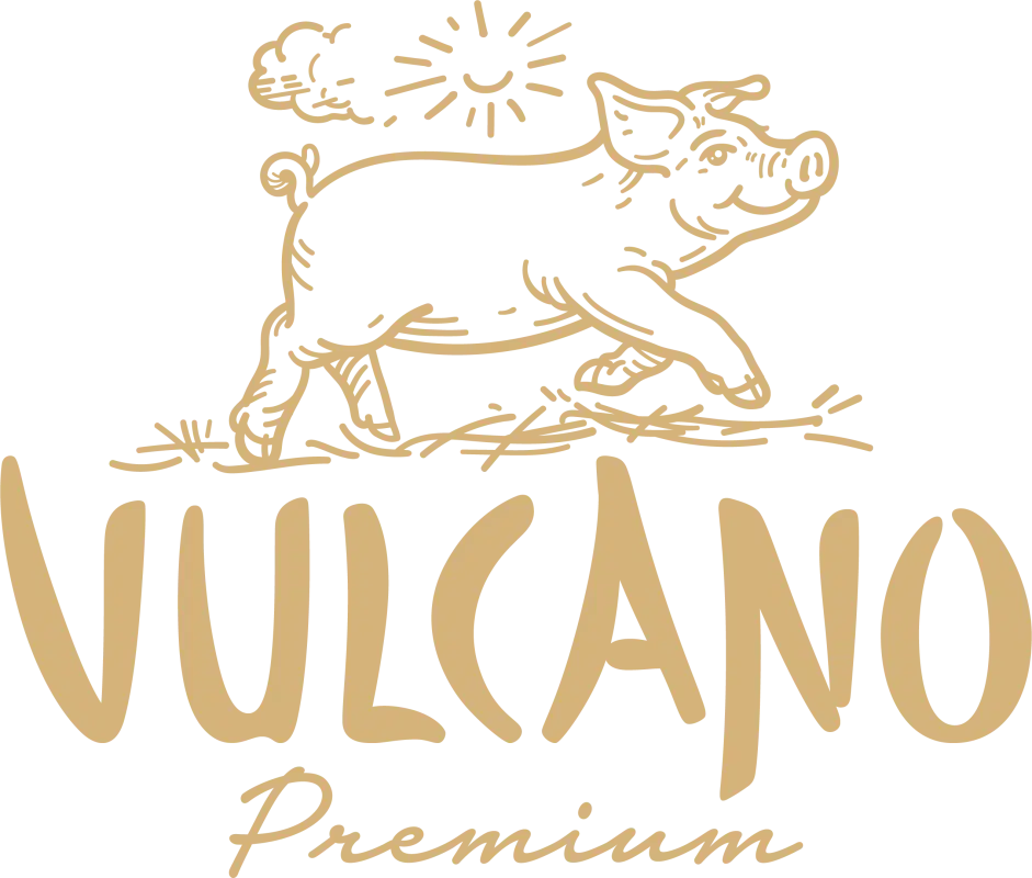 Vulcano Logo