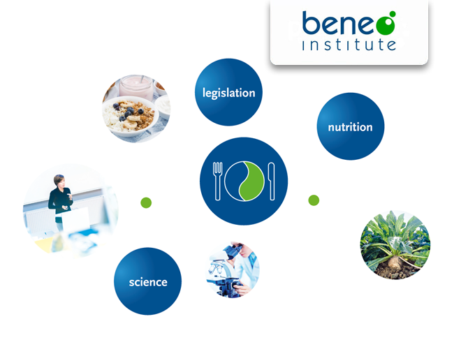 BENEO-Institut: wissenschaftliche Forschung und Nutrition Communication