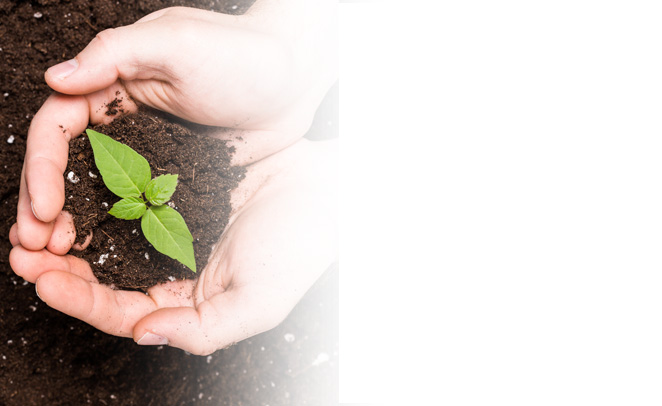 ECO-PVC-Karten: abbaubare Plastikkarten
