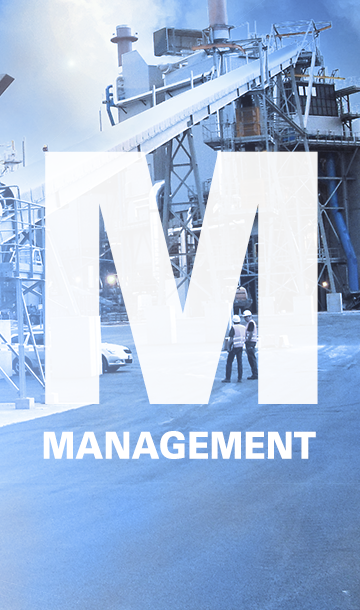 IEM Management von Gesamtanlagenprojekten