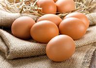 Eier und Ei-Produkte (Eifix)