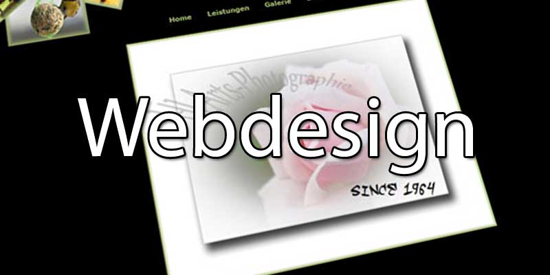 Web Design