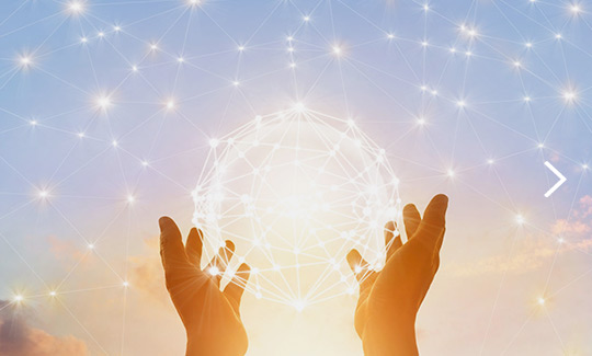 Global Sales and Plant Network