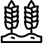 Landwirtschaftliche Drohnendienste