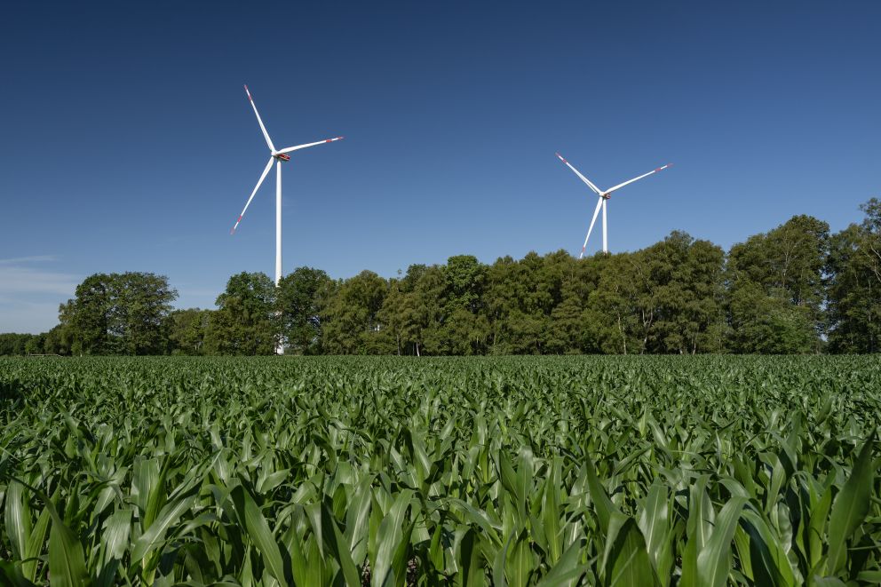 Windpark Elsdorf III (Onshore)