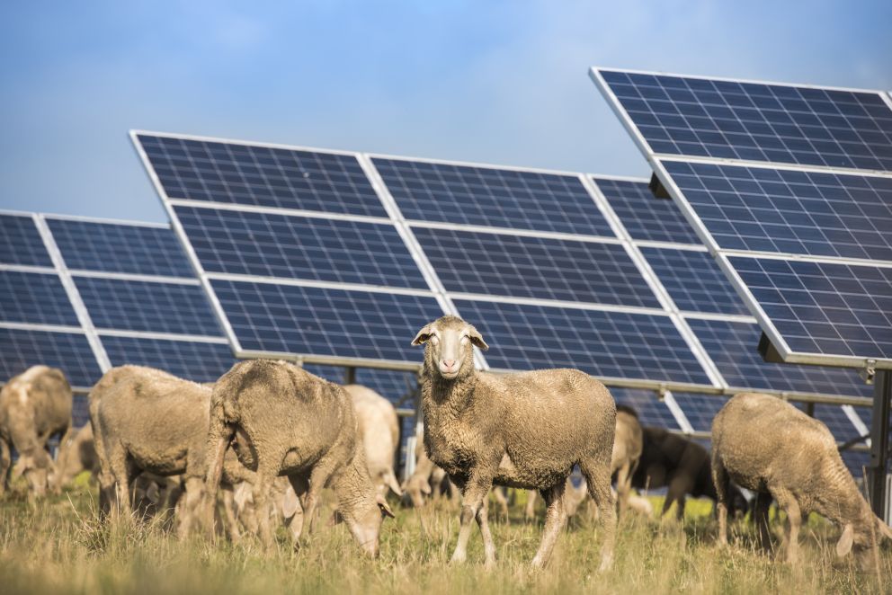 Solarpark Frankreich