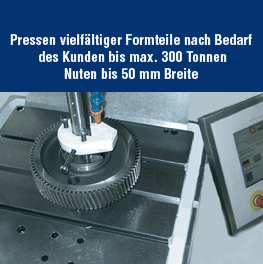 Fertigung am Standort Hasel