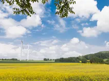Nachhaltigkeit & Energie