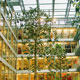 Heiliggeiststrasse, Innsbruck – Glasdachkonstruktion mit Lichtlenksystem