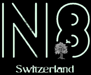 N8 Logo