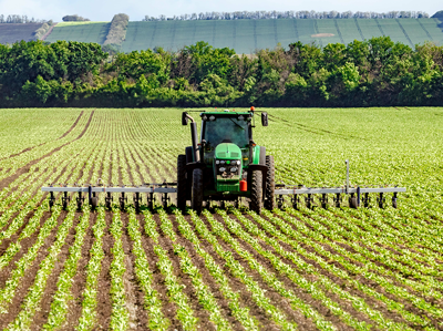 Folienlösungen für landwirtschaftliche Kultivierung