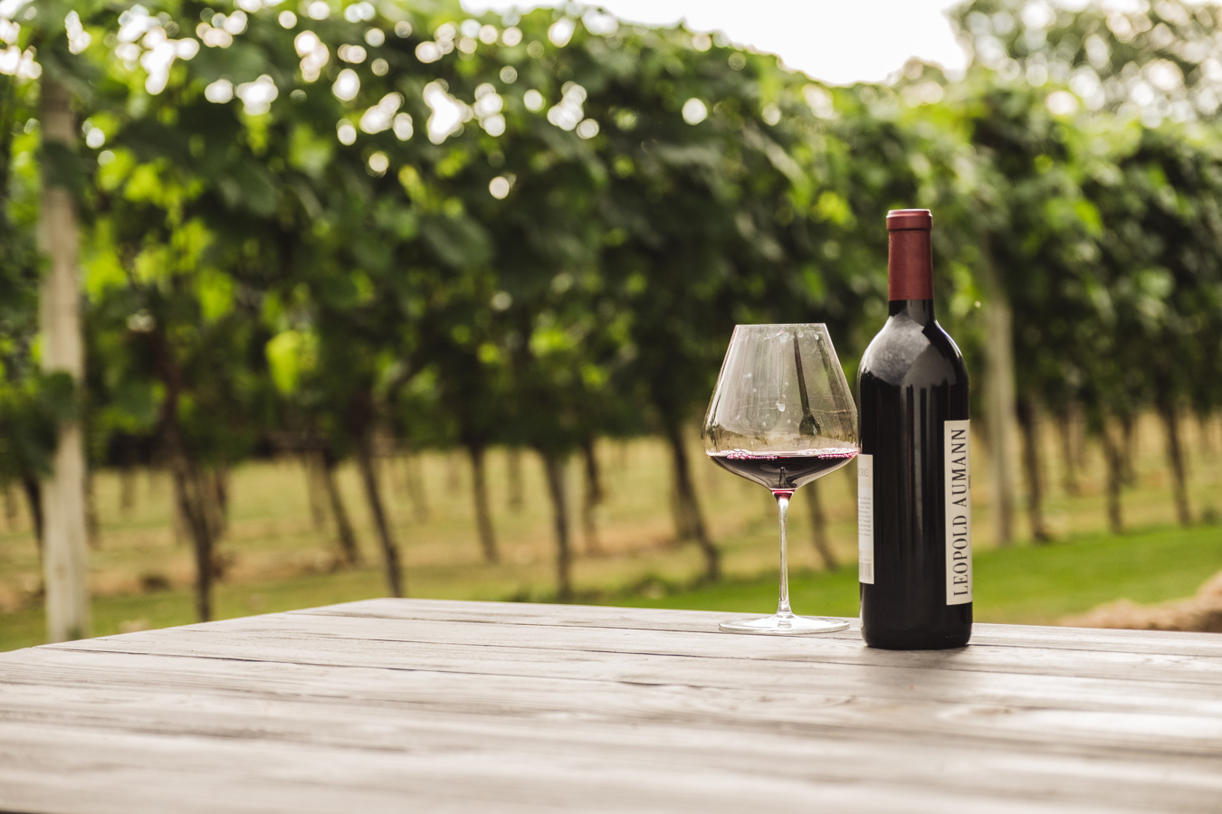 Rotwein