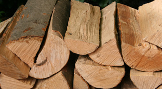 Kaminholz Buche ofenfertig