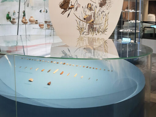 Museumsvitrine aus gebogenem Glas