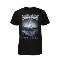 Band-T-Shirt