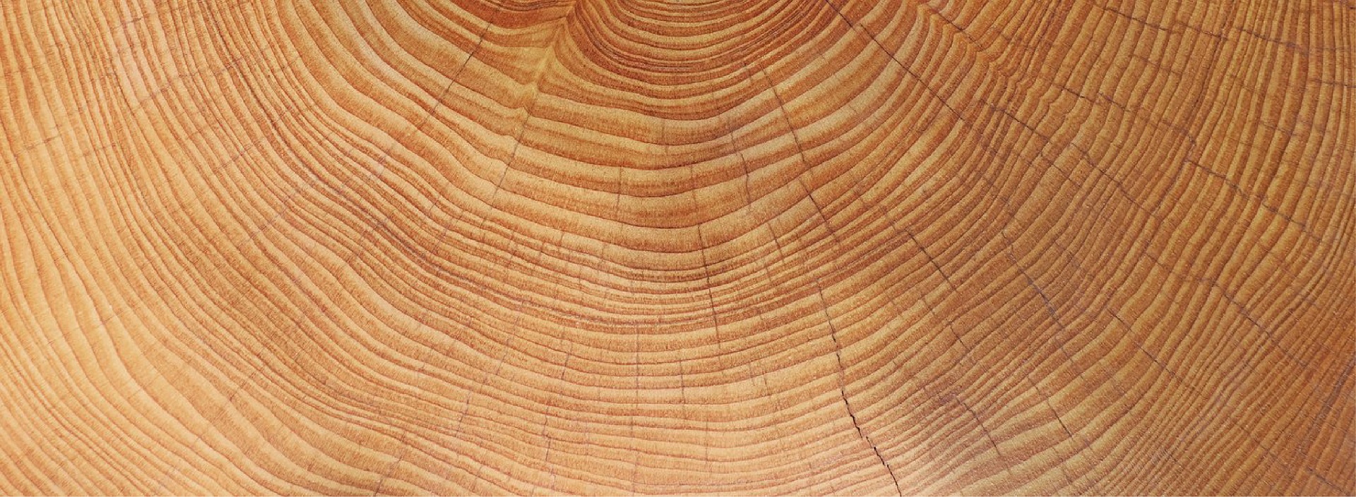 Wangentreppe aus keilgezinkter Buche