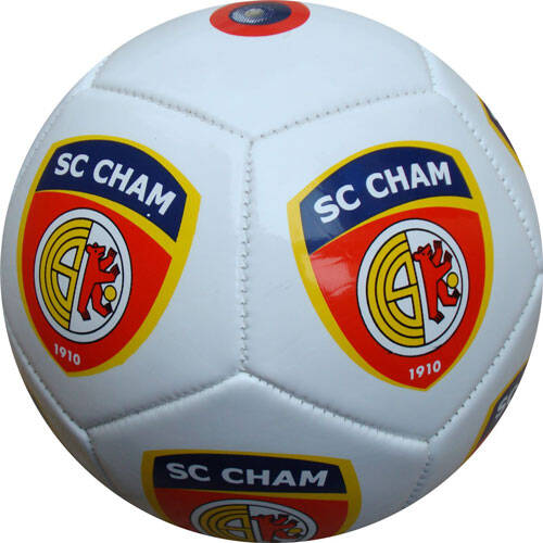PU/PVC Fußball, maschinengenäht