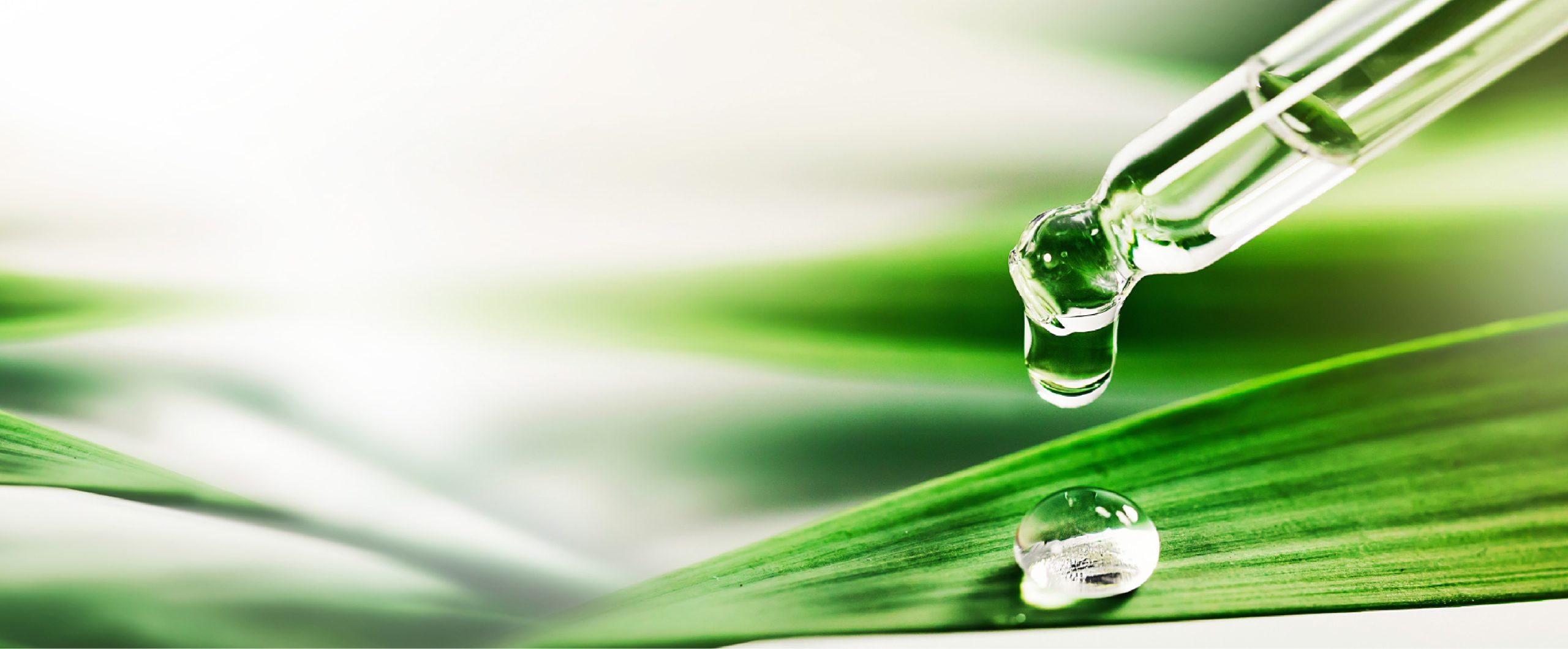Nachhaltige Oleochemie