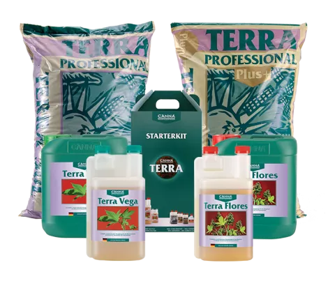 CANNA TERRA