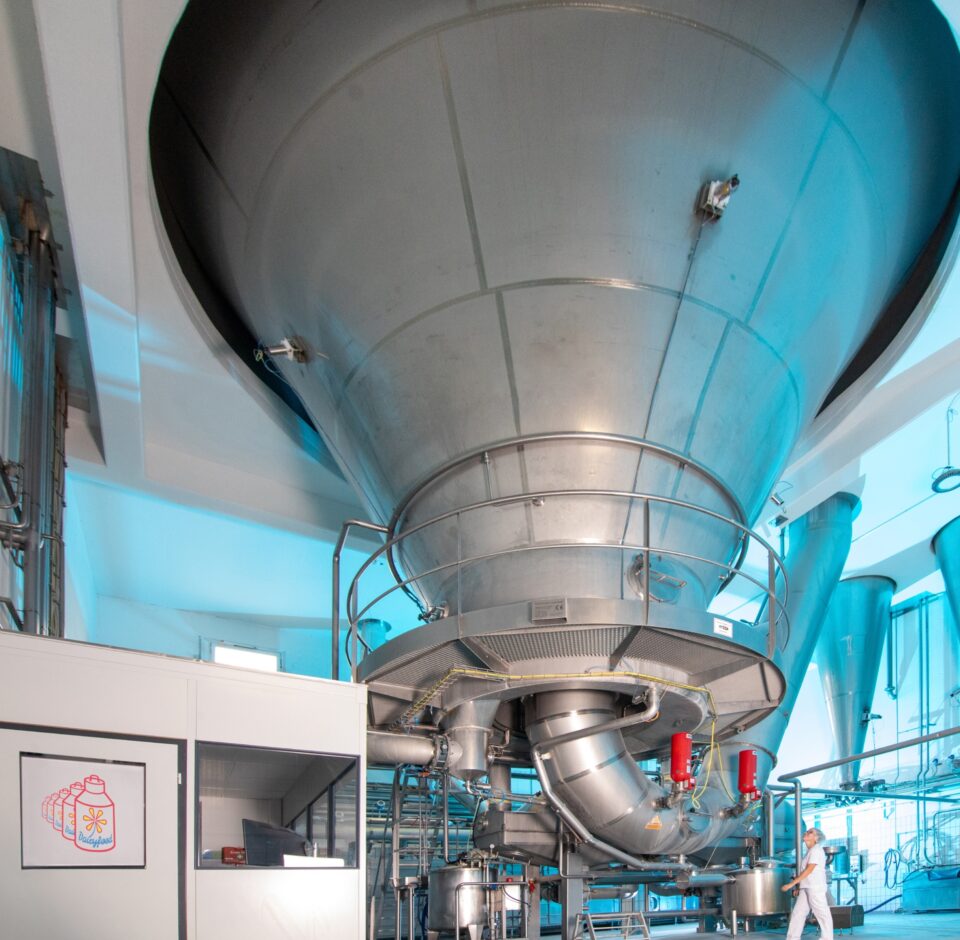 Sprühgetrocknete Milch- und Molkederivate (Pulverprodukte)