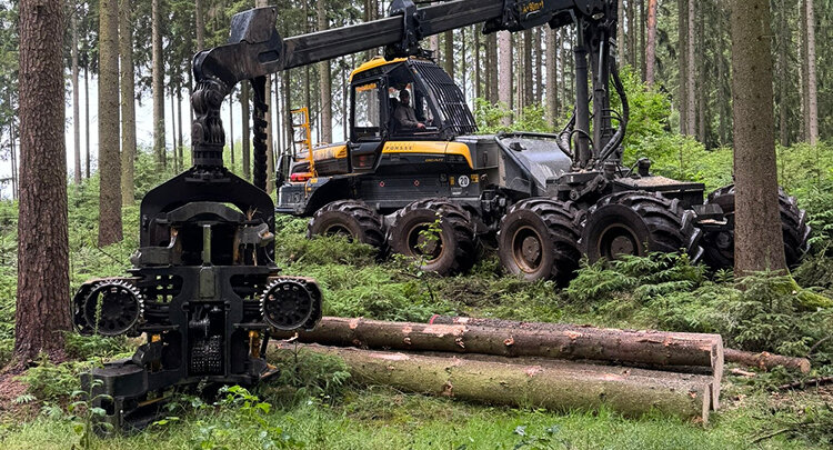 Anwendung Forstwirtschaft