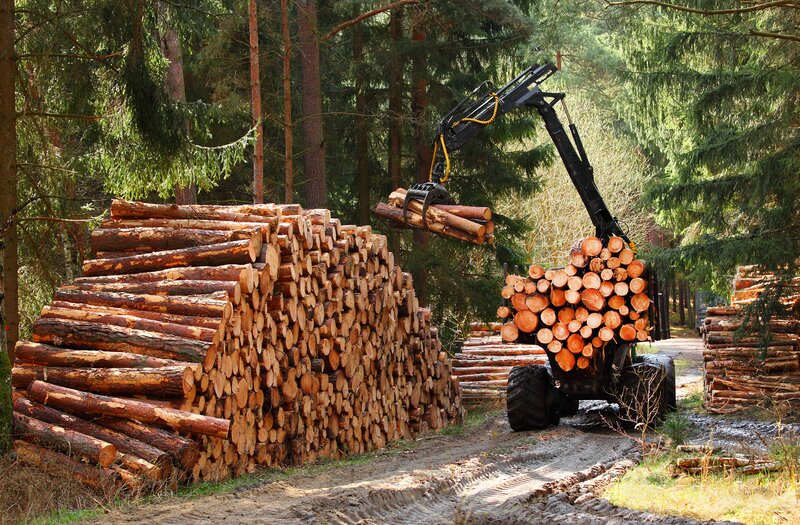 Biologisch abbaubare Schmierstoffe