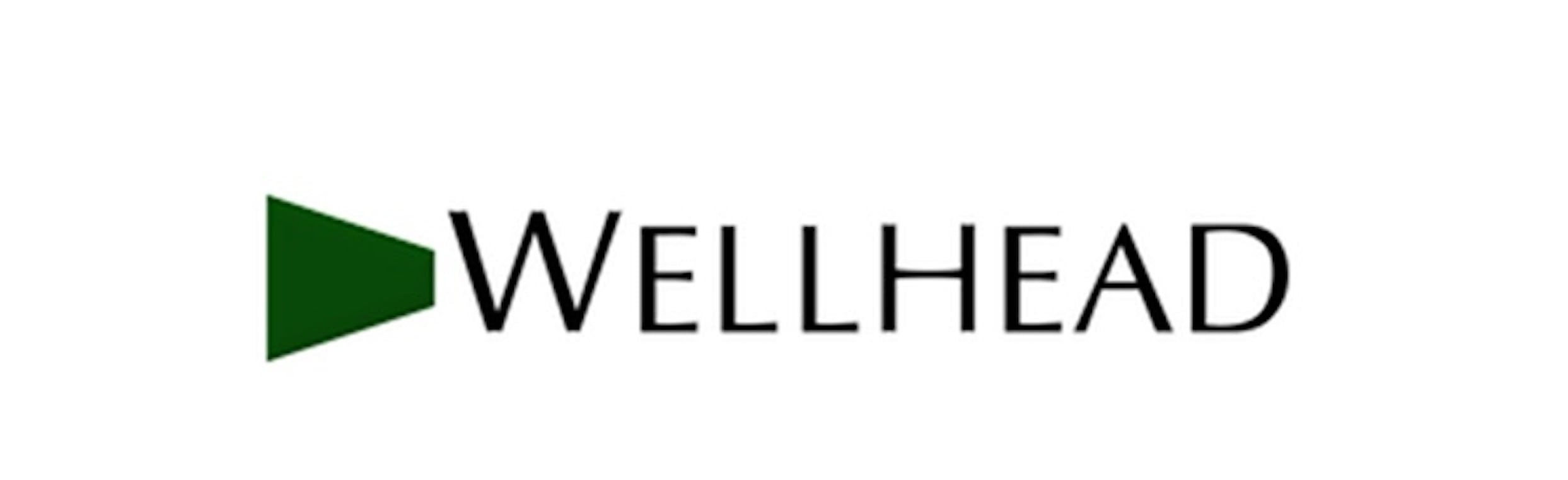 Wellhead Electric Backup-Power