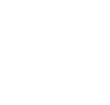 Technologische DNA von Lange Aviation