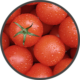 Tomaten als Rohstoff