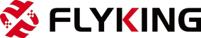 新汉科技 / Flyking Logo