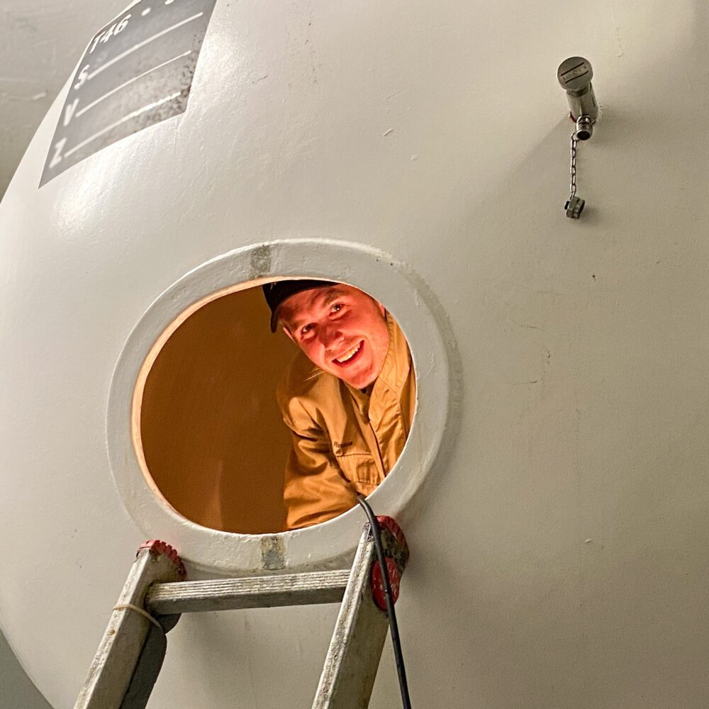 Bosch Dunkelchen
