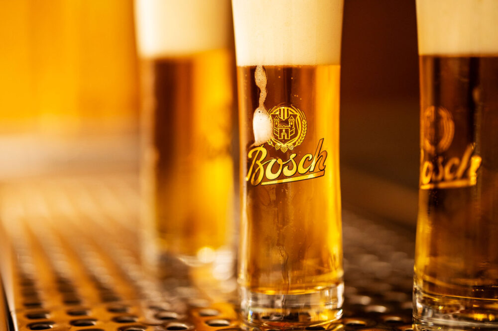 Bosch Braunbier