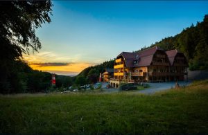 Referenz: WALD HOTEL HEPPE