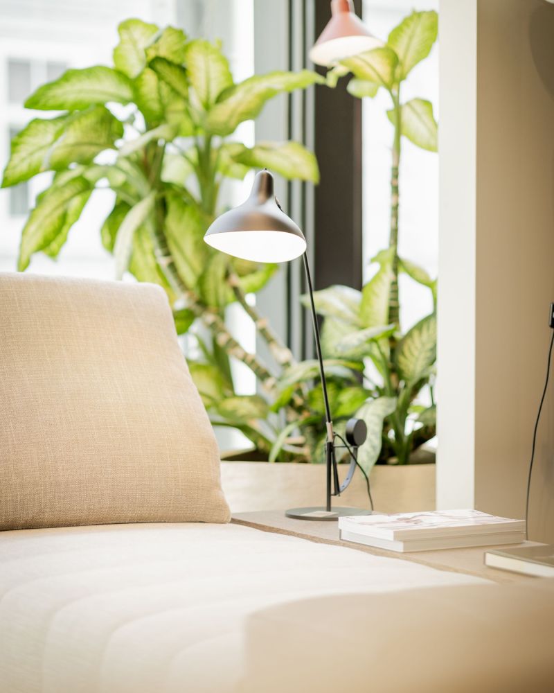 Beige Sofaecke mit Leseleuchte am Fenster