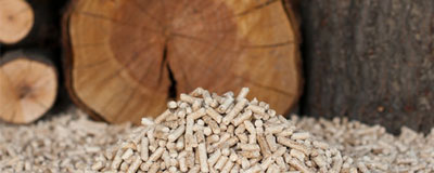 Holz- und Pellets-Feuerungssysteme