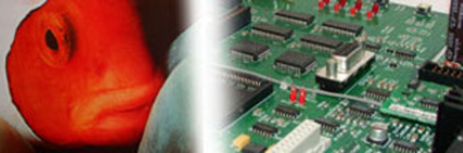 Mantagraphics Systems – Fertigung