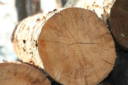 Wintergarten aus Holz