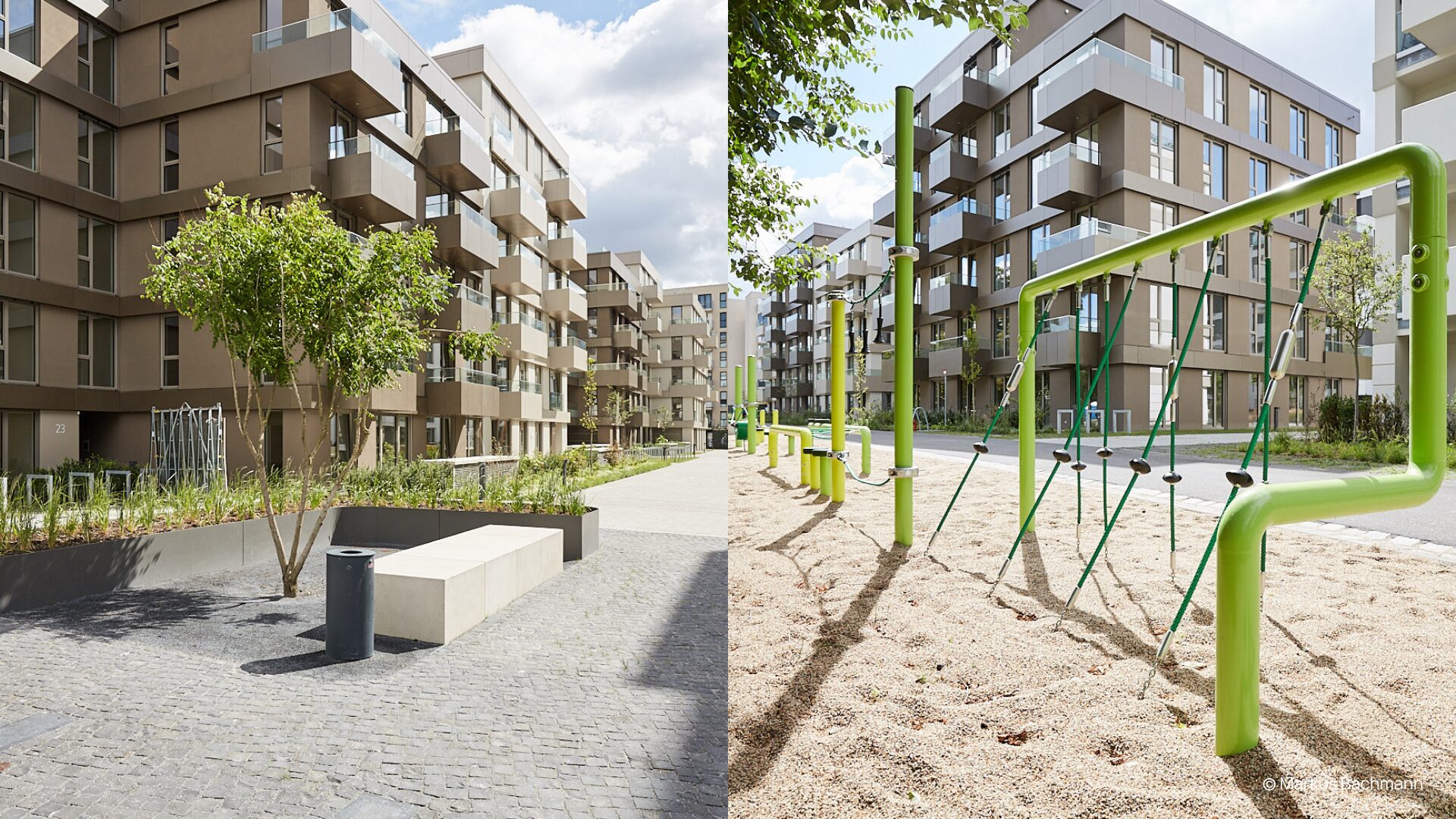Luisenpark – Pflasterarbeiten, Dachbegrünung, Straßenbaumpflanzung