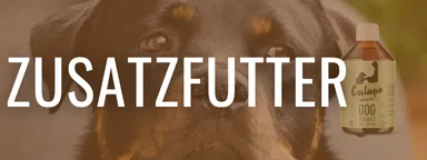 Zusatzfutter für Hunde