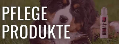 Pflegeprodukte für Hunde
