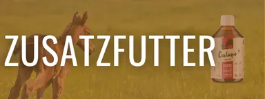 Zusatzfutter für Pferde